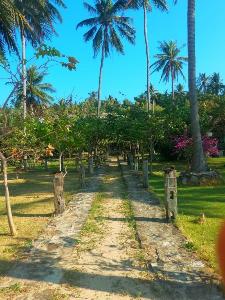Ary's Lagoon Bungalow & Hotel, Karimunjawa
