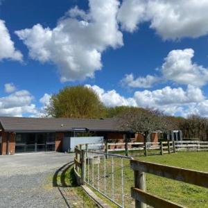 Hotels near FMG Stadium Waikato - Unique Equestrian Lifestyle