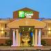 Hotels near Sai Convention Center - Holiday Inn Express Hotel & Suites Alexandria