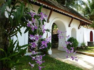 Fort House, Kochi