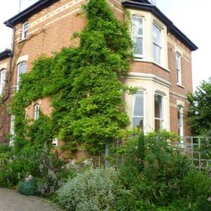 Laurel House Bed and Breakfast