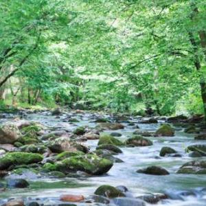 Cork's Creekside