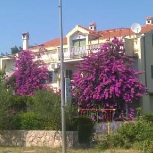 Guest House Neda