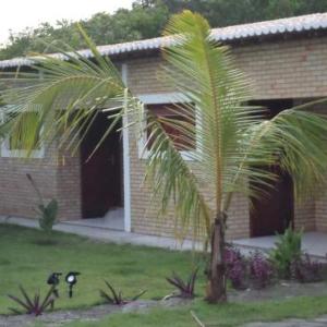 Pipa Mar e Vida