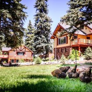 Hotels near Little Bear Evergreen - Alpen Way Chalet Mountain Lodge