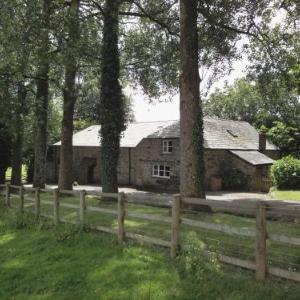 Pigwigs Place