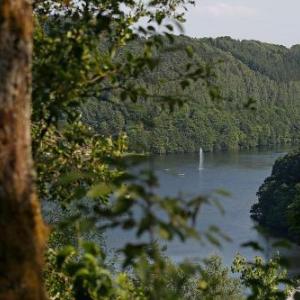 Landhaus-Wald-und-See-2