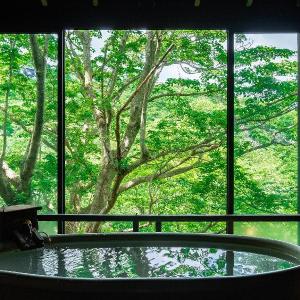 Ryokan Hanagokoro - renewal in March 2024