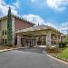 Hotels near The Assembly at Warner Robins - Comfort Inn Warner Robins - Robins Air Force Base Area