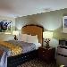Hotels near Claflin University - PALMETTO INN AND SUITES