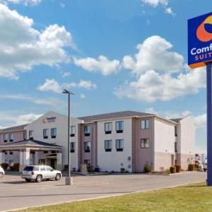 Comfort Suites South Haven Near I-96