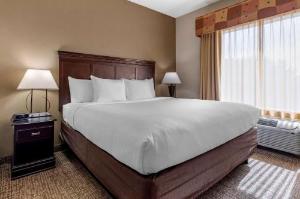 Comfort Suites Granbury, Granbury