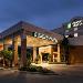 Hotels near MIDFLORIDA Credit Union Amphitheatre - Embassy Suites By Hilton Tampa - Brandon
