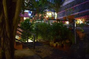 Shamrock Resort, Munnar