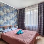 Economy Brusnika Apartment Kuzminki Moscow 