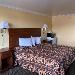 Bader Field Hotels - Downbeach Inn