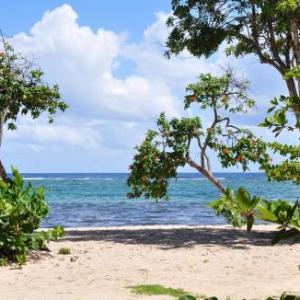 Résidence Tropicale