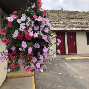 Country West Motel of Rock Springs