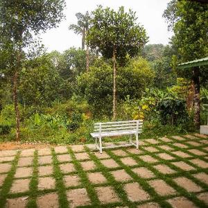 Yedamakky Plantations