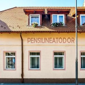 Casa Todor
