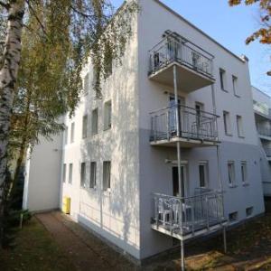 Baltic Home Bielik
