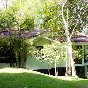 Willow Resorts