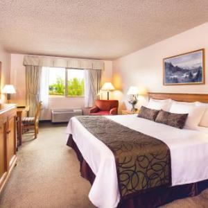 Hotels near William A. Egan Civic and Convention Center - Coast Inn at Lake Hood