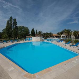 Adonis Arles Les Hameaux de Camargue