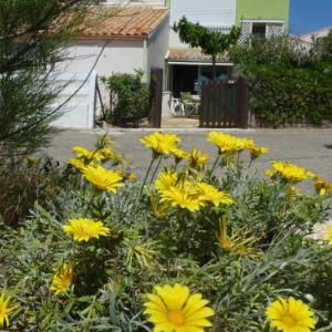 Appartement T2 RDC Front de Mer 4 couchages Les Balcons de la Méditerranée Narbonne Plage