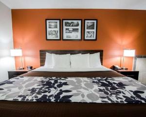 Sleep Inn & Suites And Conference Center Downtown, Indianapolis