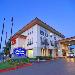 Hotels near Fremont High School Sunnyvale - Hampton Inn By Hilton & Suites Mountain View Ca