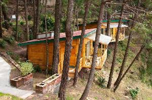 Kasauli Hills Resort, Kasauli