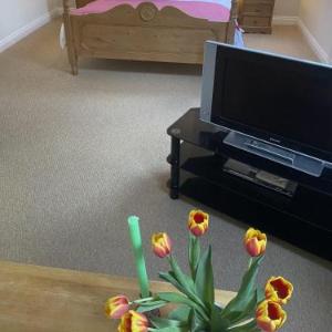 The Hayloft B and B