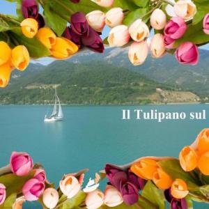 B&B Il Tulipano sul Lago