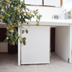 Residence Lion
