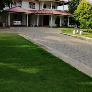Golden Residence