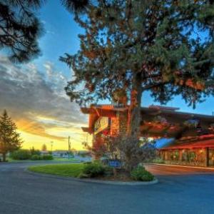 Hotels near General Duffy's Waterhole Redmond - Shilo Inn Suites Hotel - Bend