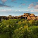 Disney\'s Animal Kingdom Lodge