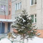 Apartment in Chelyabinsk 