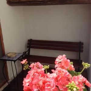 Bed and Breakfast Araba Fenice