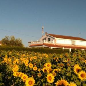 Casa los Girasoles