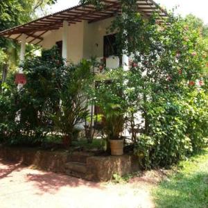 Handy House