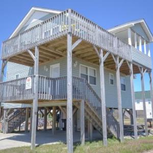 Byrd's Nest