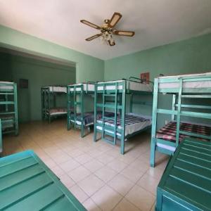 Hierba De Conejo Hostel