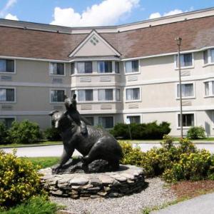 Hotels near Morse Field at Harold Alfond Sports Stadium - Black Bear Inn Ascend Hotel Collection