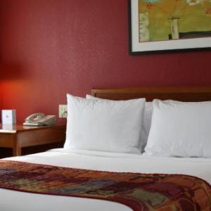 Hotels near Prairie Winds Park - Lakeview Signature Inn Calgary Airport