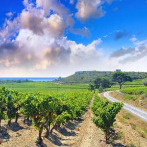 Apartment Les Vendanges