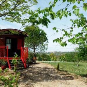 Gîtes Domaine Des Cadets Gascogne