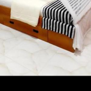 The Dream Homestay