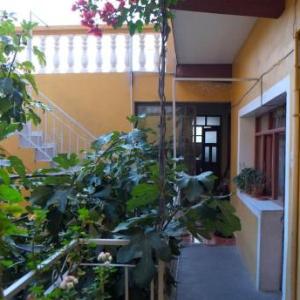 Homestay Jorge Sucre